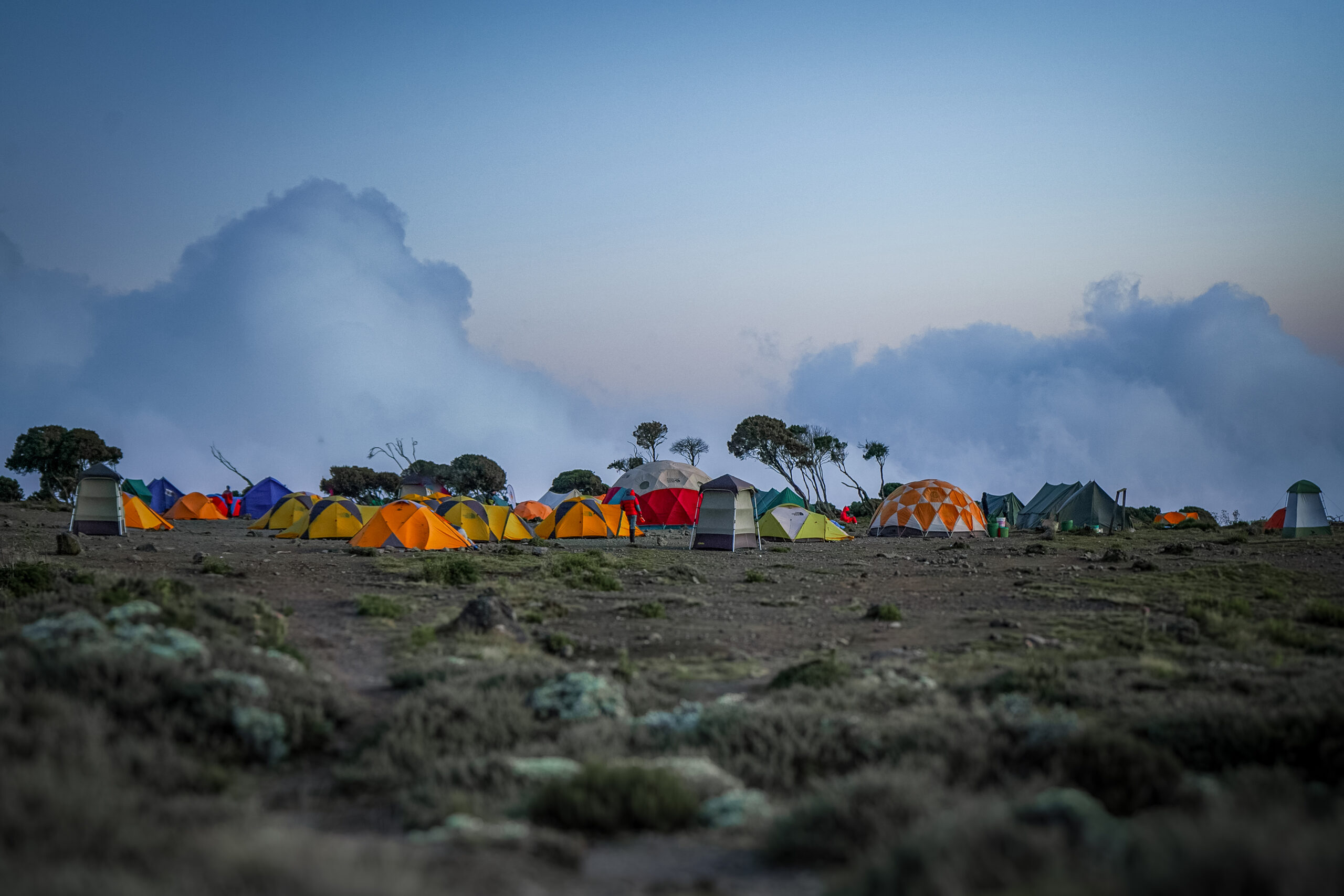 Mount Kilimanjaro Trek