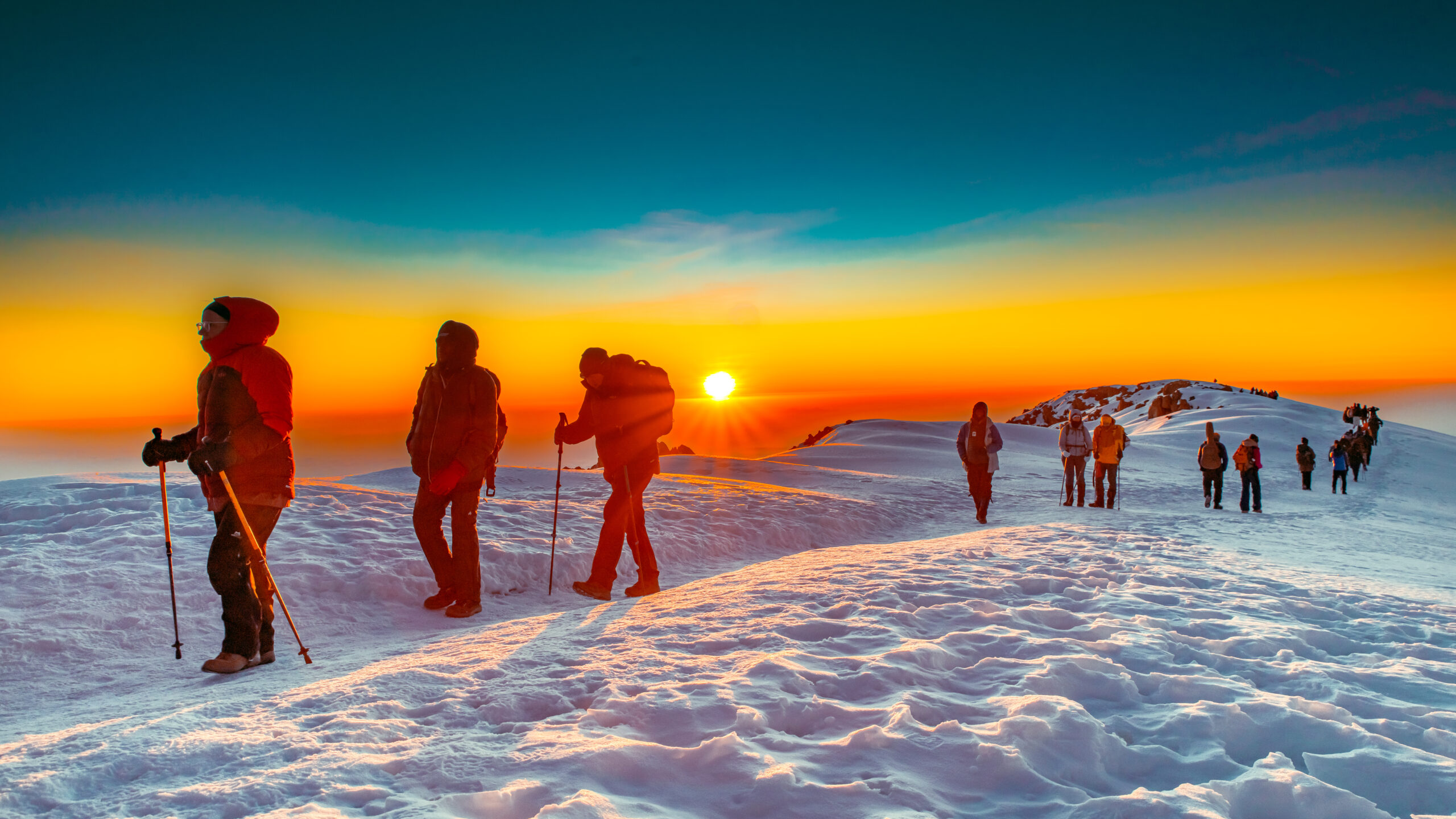Kilimanjaro Summit Trek