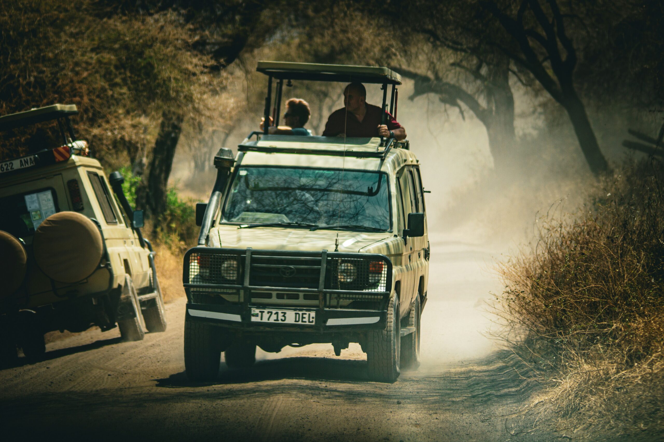 Lenina Tanzania Guides